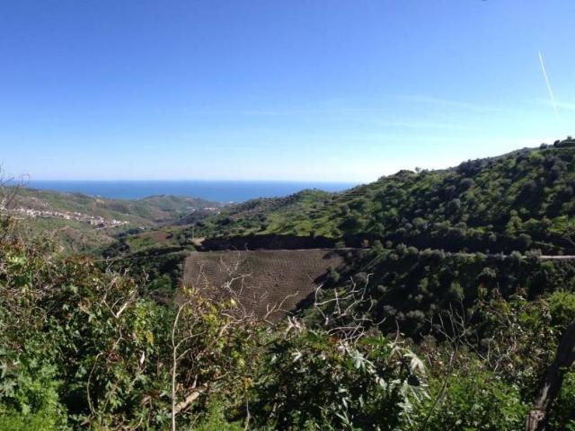 Terreno en venta en Moclinejo