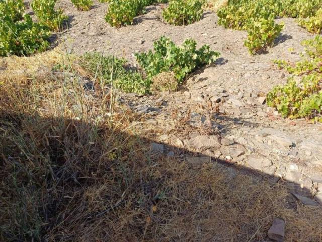 Terreno en venta en La Axarquía, Andalucía