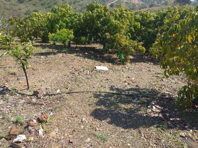 Terreno en venta en Moclinejo