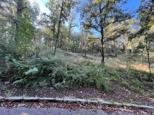 Terreno en venta en Moianès, Catalunya