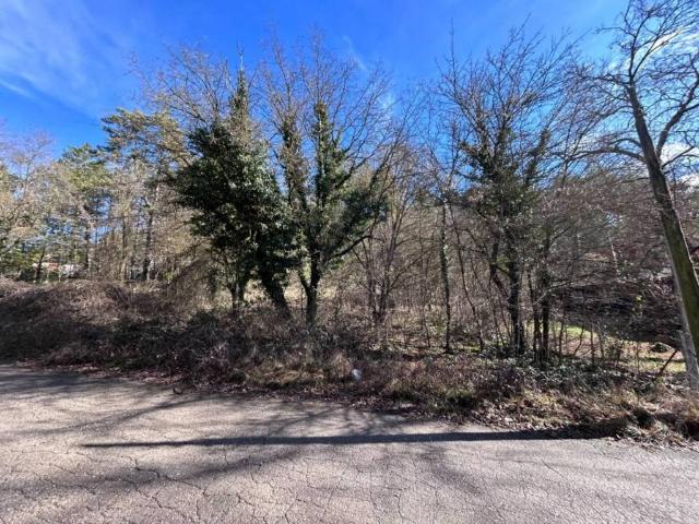 Terreno en venta en Moianès, Catalunya