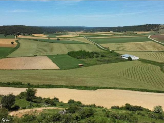 Terreno en venta en Molacillos, Castilla y León
