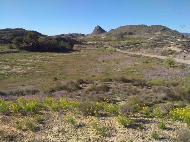 Terreno en venta en Vega Media del Segura, Murcia