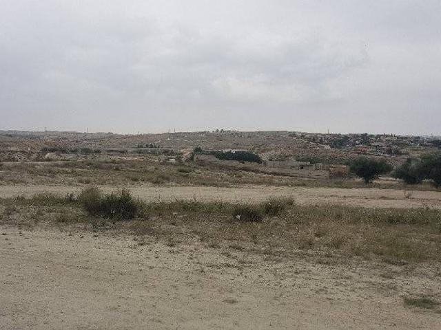 Terreno en venta en Molina de Segura, Vega Media del Segura