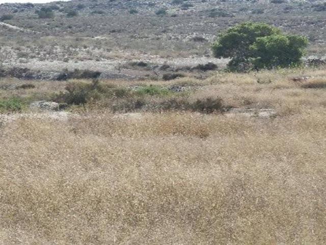 Terreno en venta en Molina de Segura, Vega Media del Segura
