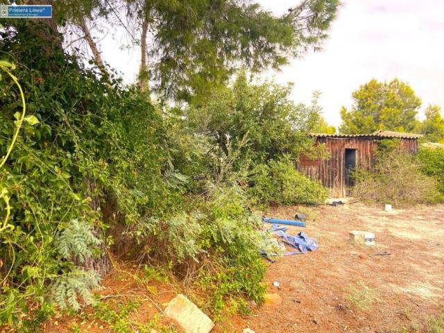 Terreno en venta en Vega Media del Segura, Murcia