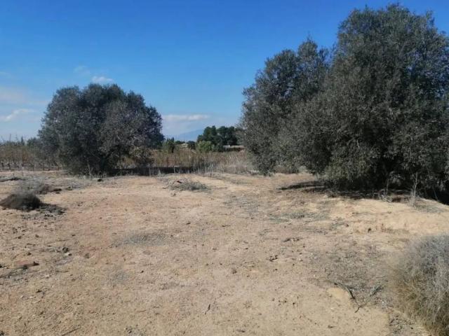 Terreno en venta en Vega Media del Segura, Murcia