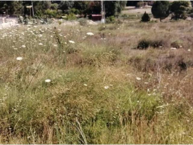 Terreno en venta en Vega Media del Segura, Murcia
