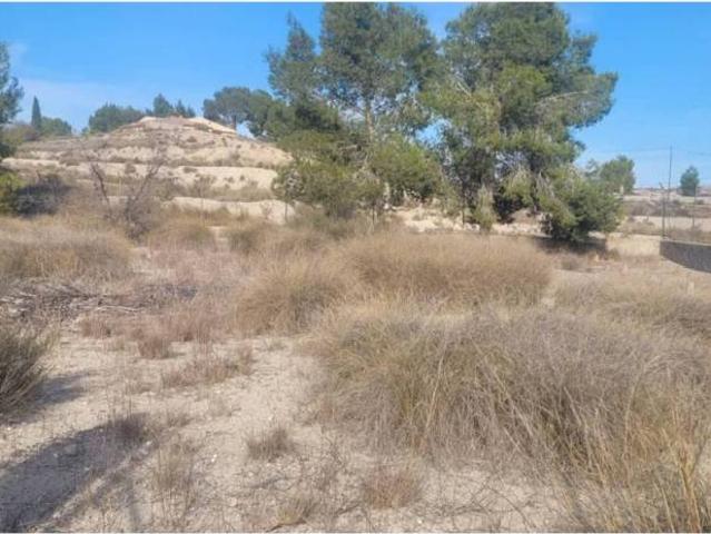Terreno en venta en Molina de Segura, Vega Media del Segura
