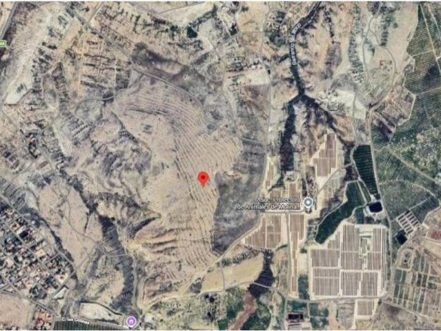 Terreno en venta en Romeral, Vega Media del Segura
