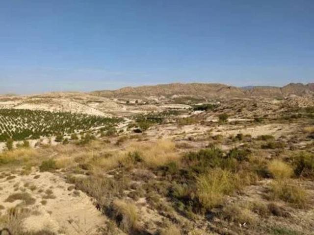 Terreno en venta en Fenazar, Vega Media del Segura