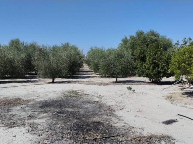 Terreno en venta en Molina De Segura