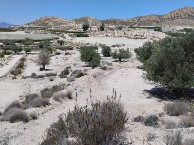 Terreno en venta en Molina De Segura