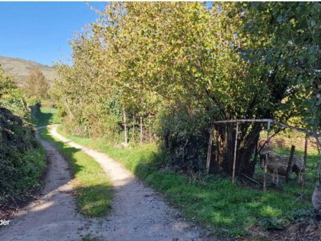 Terreno en venta en Molledo, Cantabria