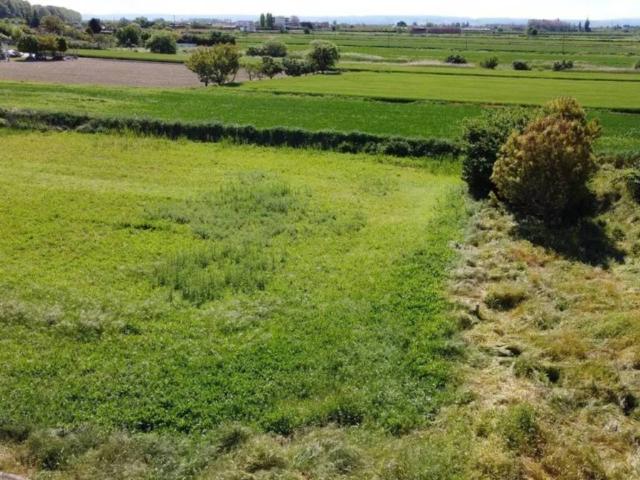 Terreno en venta en Mollerussa