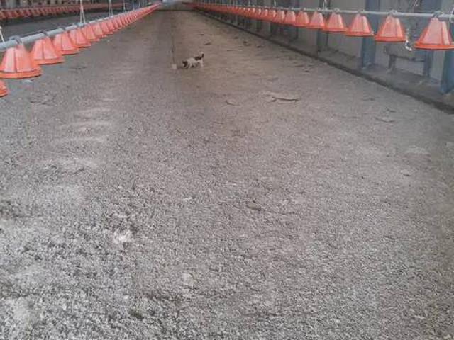 Terreno en venta en Pla d'Urgell, Catalunya