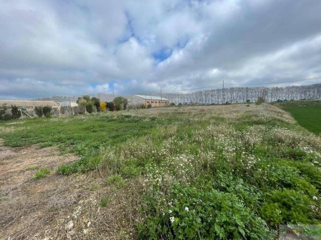 Terreno en venta en Mollerussa