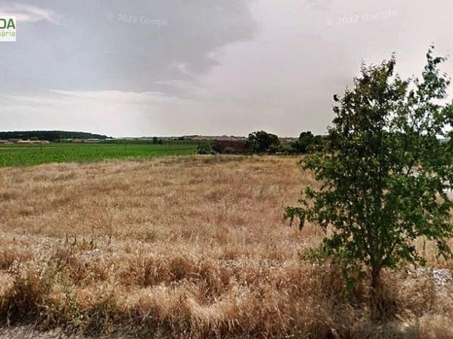 Terreno en venta en Pla d'Urgell, Catalunya