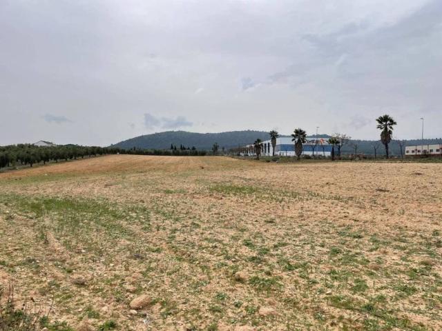 Terreno en venta en Antequera, Andalucía