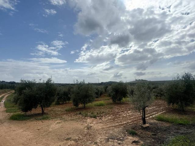 Terreno en venta en Antequera, Andalucía