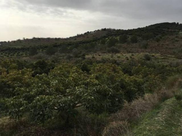 Terreno en venta en Comarca de la Costa Granadina, Andalucía