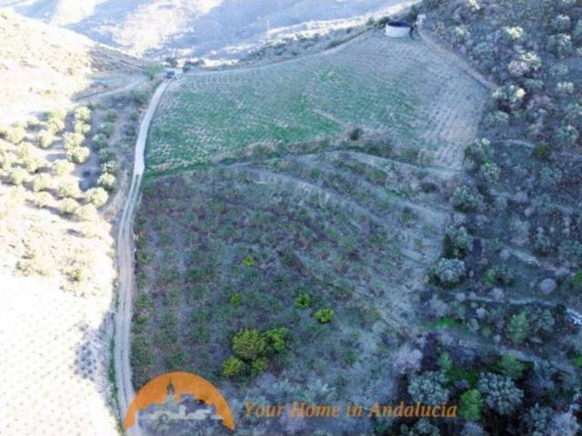 Terreno en venta en Comarca de la Costa Granadina, Andalucía