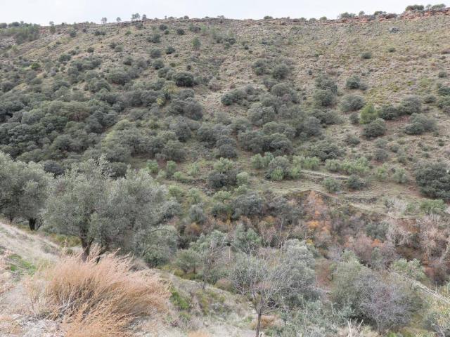 Terreno en venta en Comarca de la Vega de Granada, Andalucía