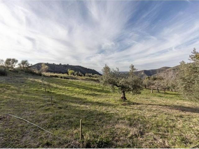 Terreno en venta en Comarca de la Vega de Granada, Andalucía