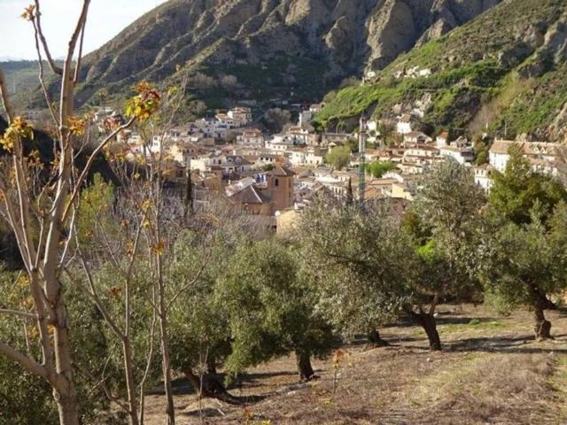 Terreno en venta en Comarca de la Vega de Granada, Andalucía