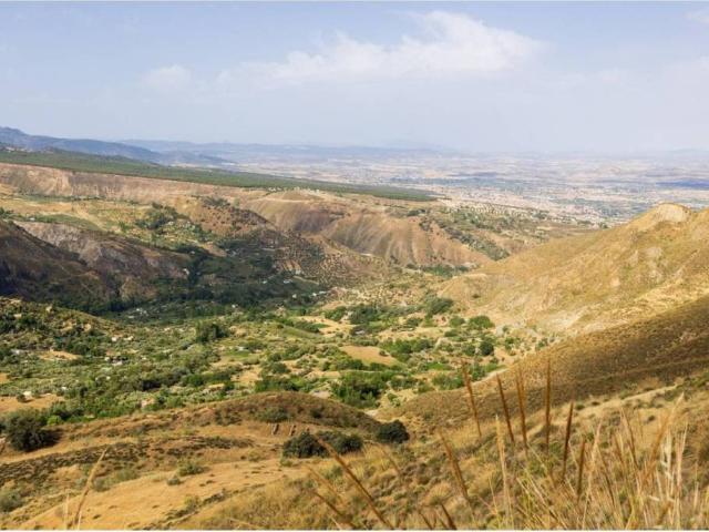Terreno en venta en Comarca de la Vega de Granada, Andalucía