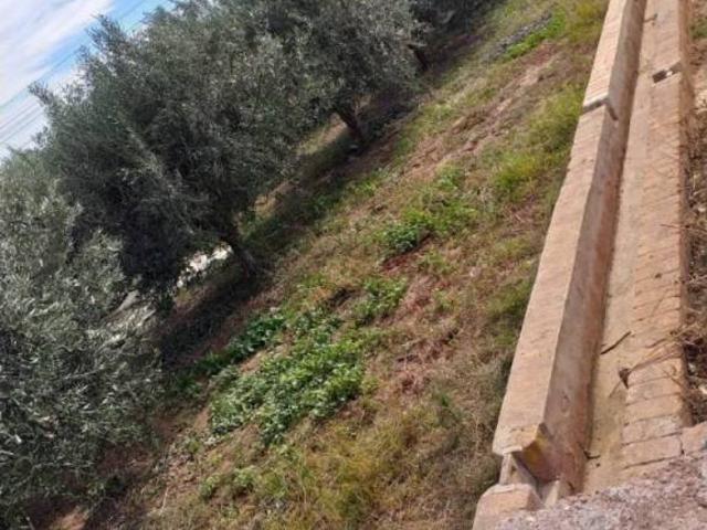 Terreno en venta en l'Horta Nord, Valencia
