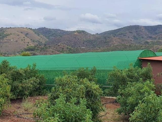Terreno en venta en Sierra de las Nieves, Andalucía