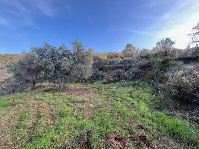 Terreno en venta en Sierra de las Nieves, Andalucía