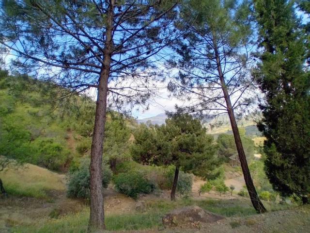 Terreno en venta en Sierra de las Nieves, Andalucía