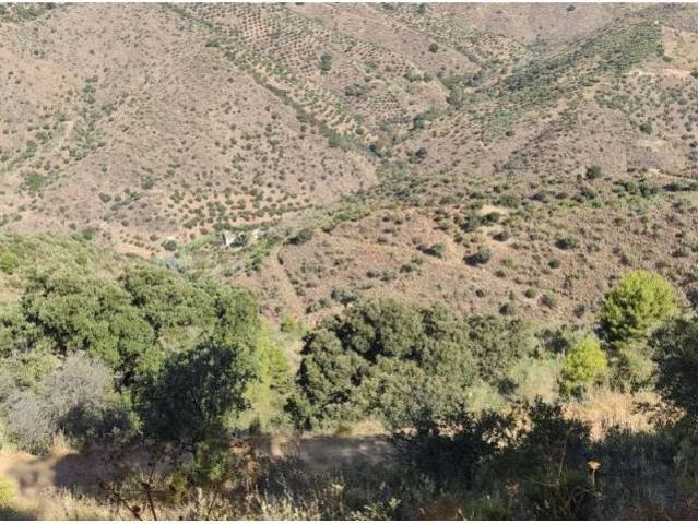 Terreno en venta en Sierra de las Nieves, Andalucía