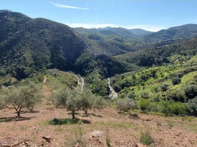Terreno en venta en Monda, Málaga
