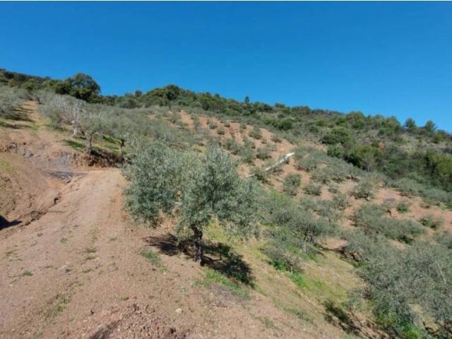 Terreno en venta en Sierra de las Nieves, Andalucía