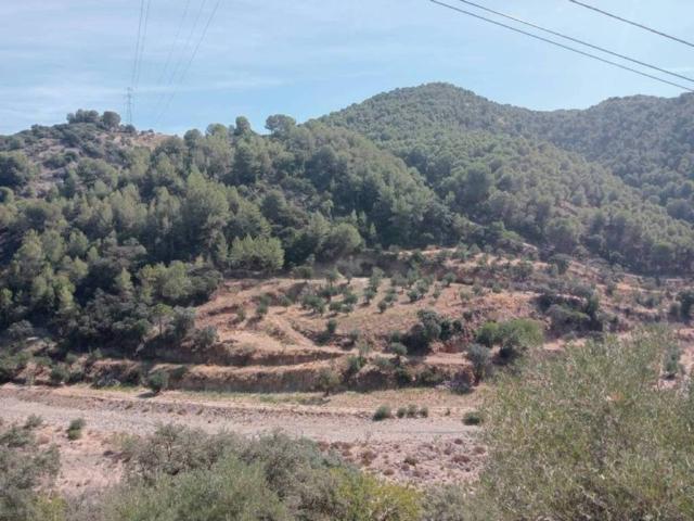 Terreno en venta en Sierra de las Nieves, Andalucía