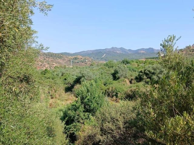 Terreno en venta en Sierra de las Nieves, Andalucía