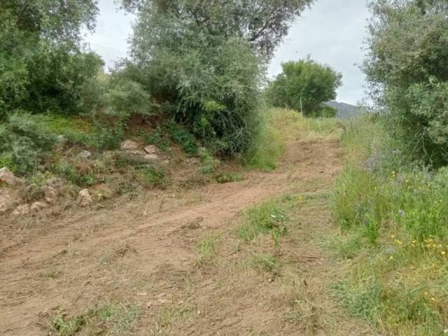 Terreno en venta en Sierra de las Nieves, Andalucía