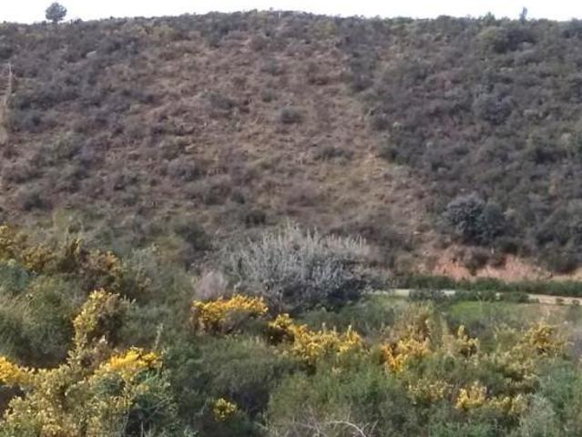 Terreno en venta en Monda