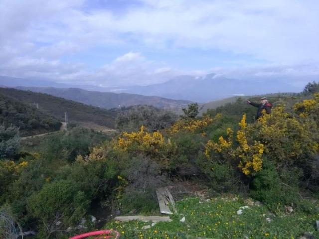 Terreno en venta en Monda