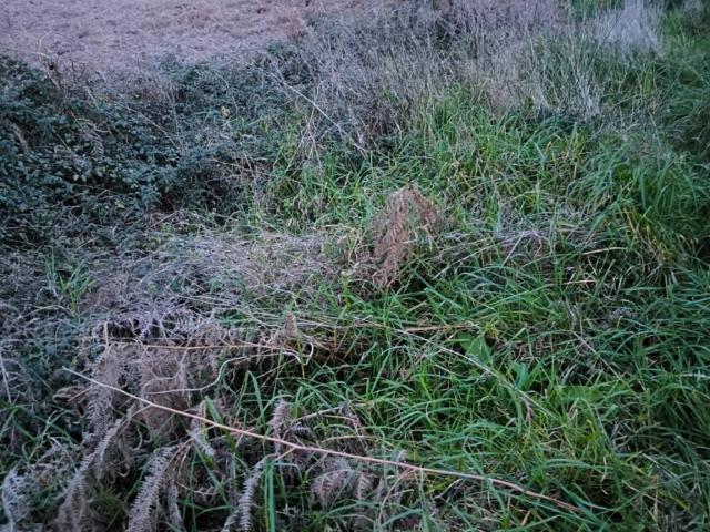 Terreno en venta en Mondariz