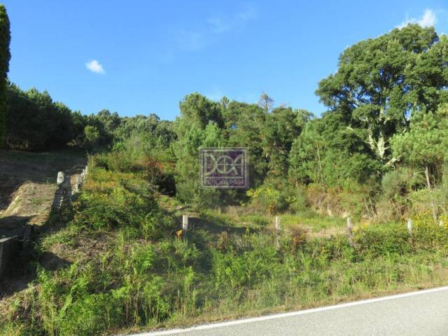 Terreno en venta en Mondariz