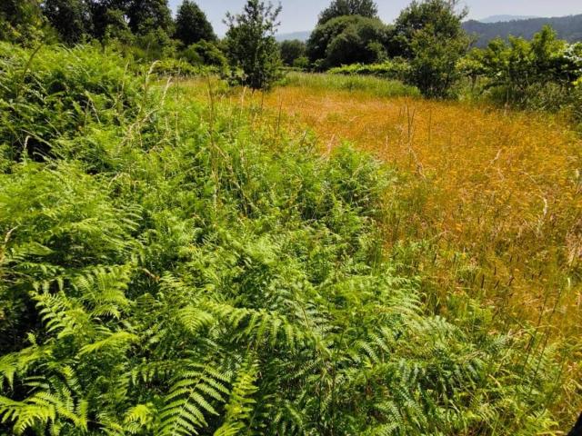 Terreno en venta en Mondariz