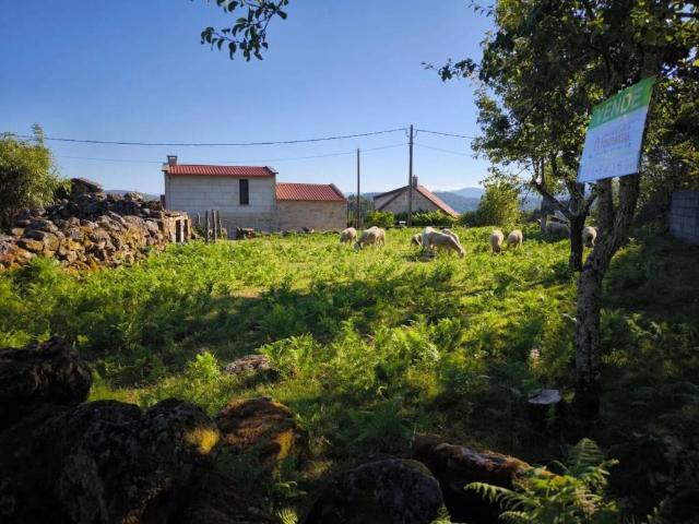 Terreno en venta en Mondariz