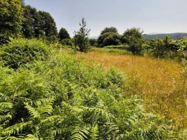 Terreno en venta en O Condado, Galicia