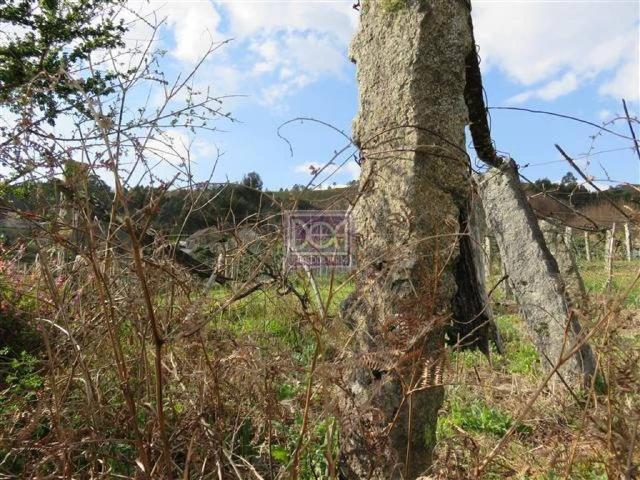 Terreno en venta en O Condado, Galicia