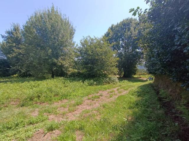 Terreno en venta en O Condado, Galicia