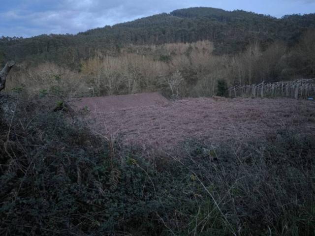 Terreno en venta en O Condado, Galicia